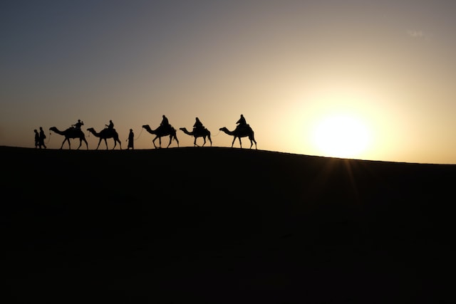 Wise Men on Camels Wise Men on Camels for Christmas